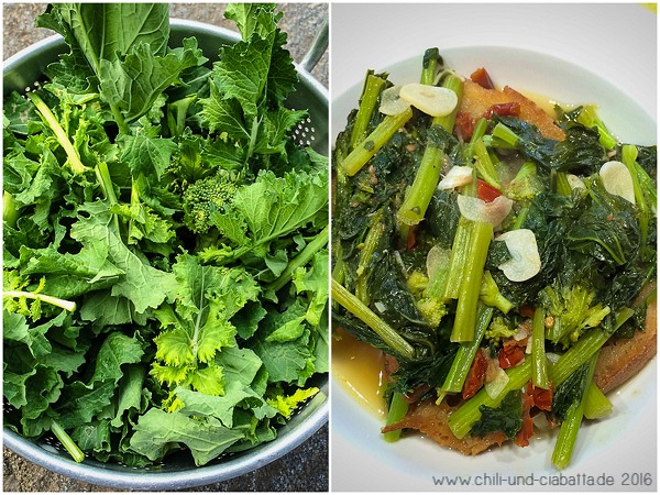 Gekochtes Brot mit cime de rapa